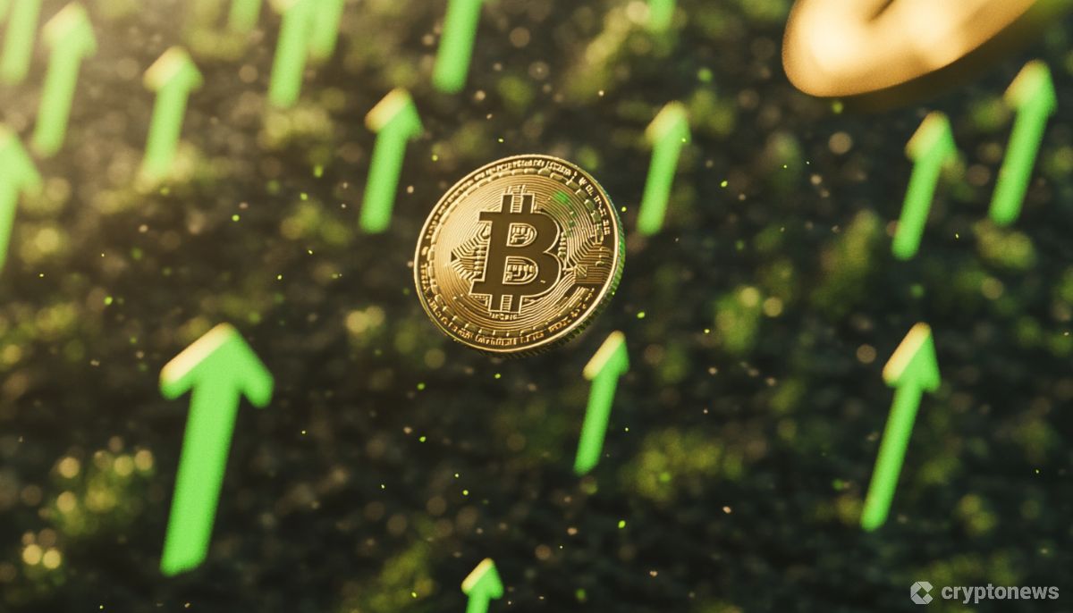 Free Crypto Investment Profit and Loss Calculator